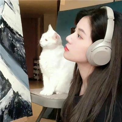 疑云背后
